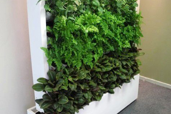 mobile green walls